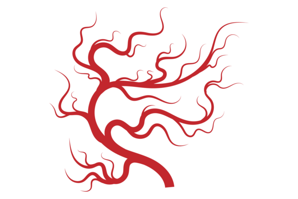 A Real Designer’s Review of the Blood Veins Medical Illustration